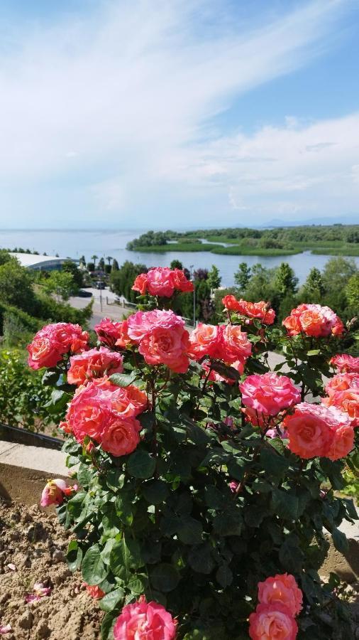 Welcome Guest House Σκόδρα Εξωτερικό φωτογραφία